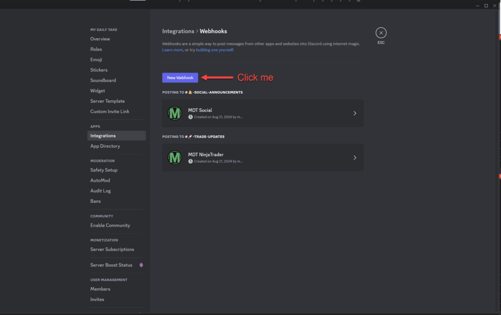 Setup Discord for NinjaTrader Bot