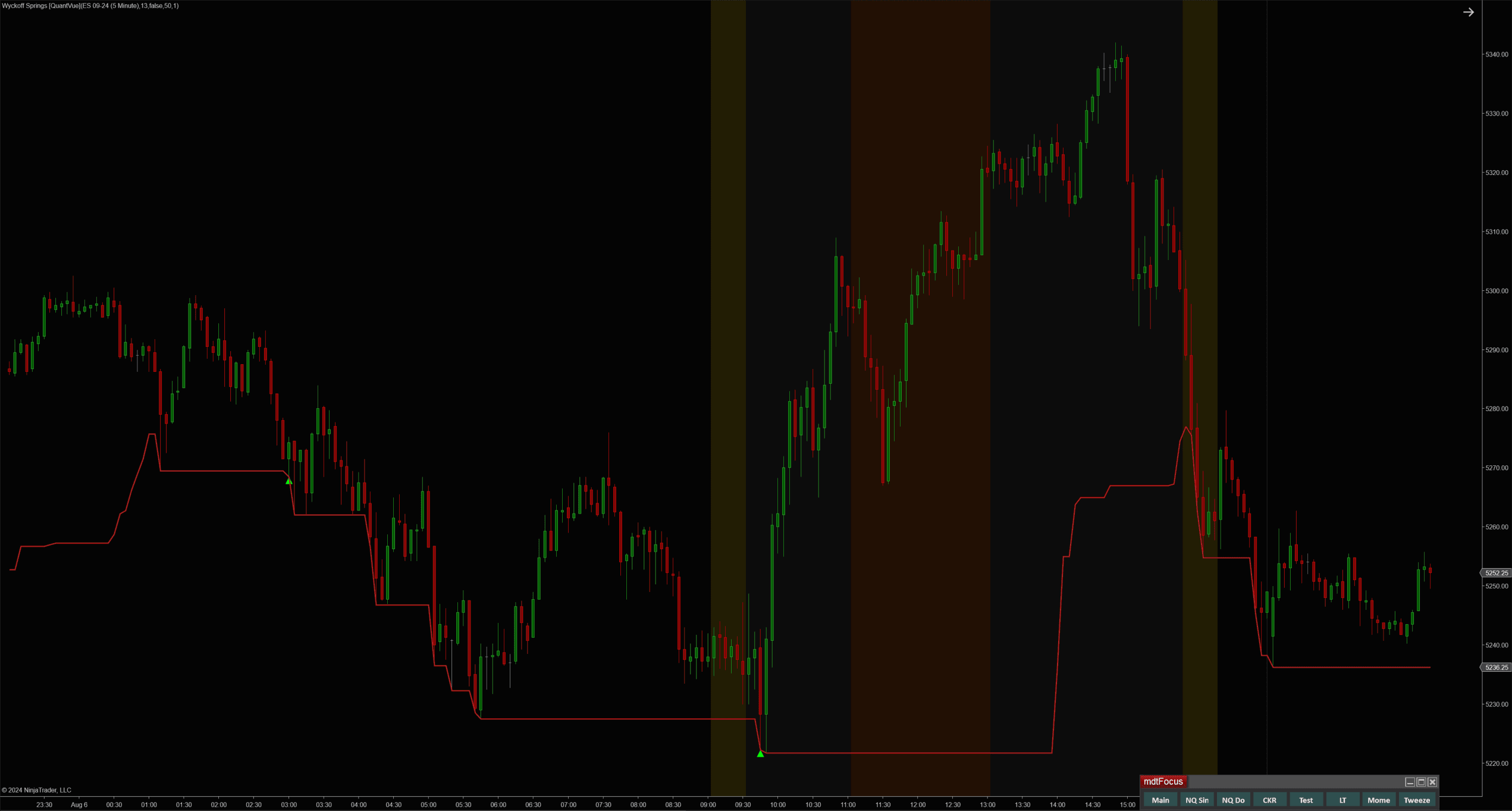 Wyckoff Springs NinjaTrader 8
