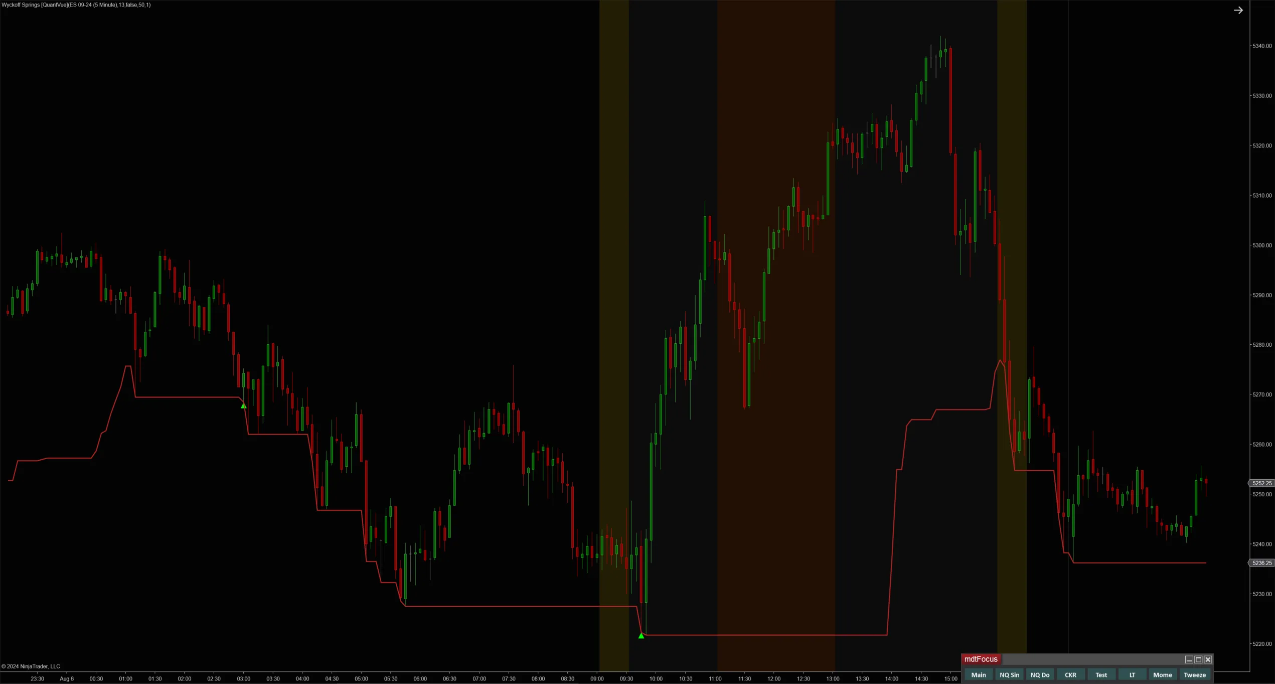 Wyckoff Springs NinjaTrader 8