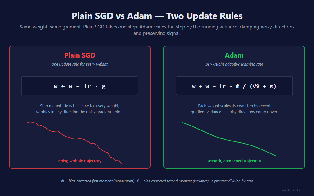 Side-by-side panels. Left panel labeled Plain SGD shows the equation w = w minus learning rate times gradient, with a red wobbly trajectory below. Right panel labeled Adam shows the equation w = w minus learning rate times m-hat divided by square root of v-hat plus epsilon, with a green smooth trajectory below.