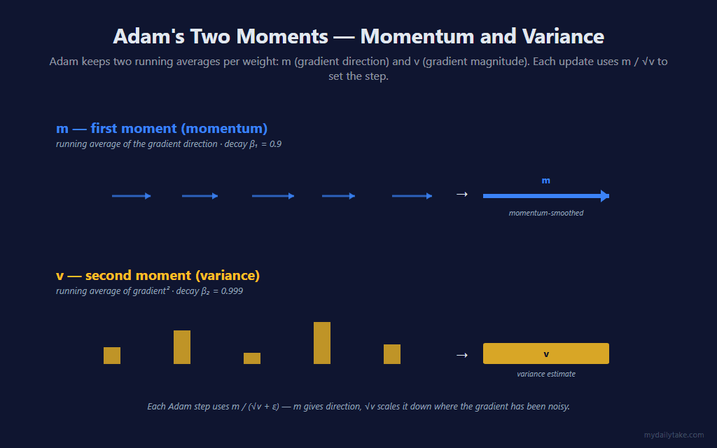 Top row labeled m, first moment, momentum. Five small blue arrows in a row averaging into a longer blue arrow on the right labeled momentum-smoothed. Bottom row labeled v, second moment, variance. Five bars of varying heights averaging into a variance estimate box on the right.