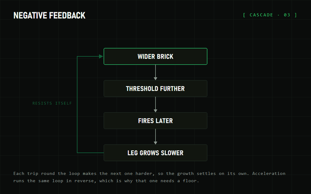 Feedback loop diagram showing a wider brick pushing the threshold further away so the leg count advances more slowly